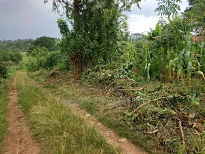 Commercial Plot on Sale