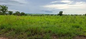 Photo - Farmland For Rent In Northern Uganda