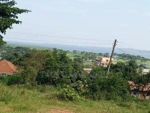 Plot for Sale in Kigo, Munyonyo Express
