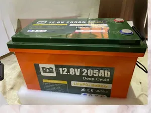 205ah Original Lithium Ion Phosphate Battery Zap