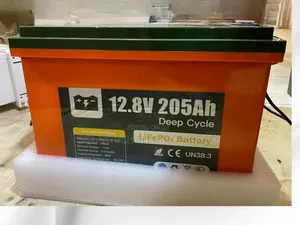 205ah Durable Lithium Ion Phosphate Battery Xcoh