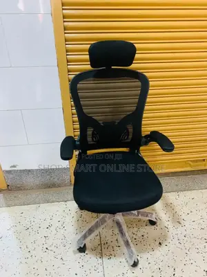 Executive Office Chairs