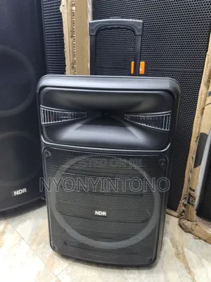NDR Professional Rechargeable Public Address Speaker