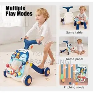 3 in 1 Educational Baby Walker, Sit and Stand Walker,