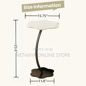 Versatile Coffee and Side Table