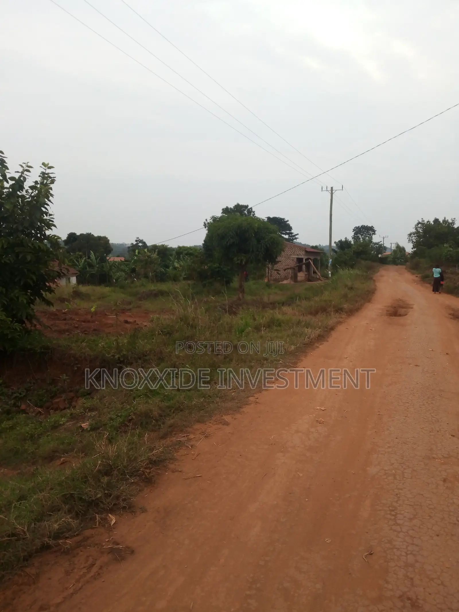 Plot for 40x100ft at 17m Ugx Sentema Bukugulu Town