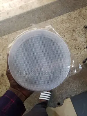 Original Ceiling Speakers