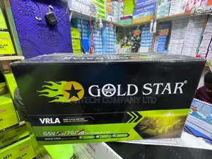 70ah Durable Gold Star SMF Vrla Solar Powder Battery Zako