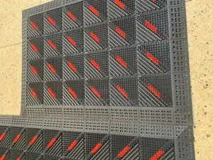 Doormats Highquality Each Piece