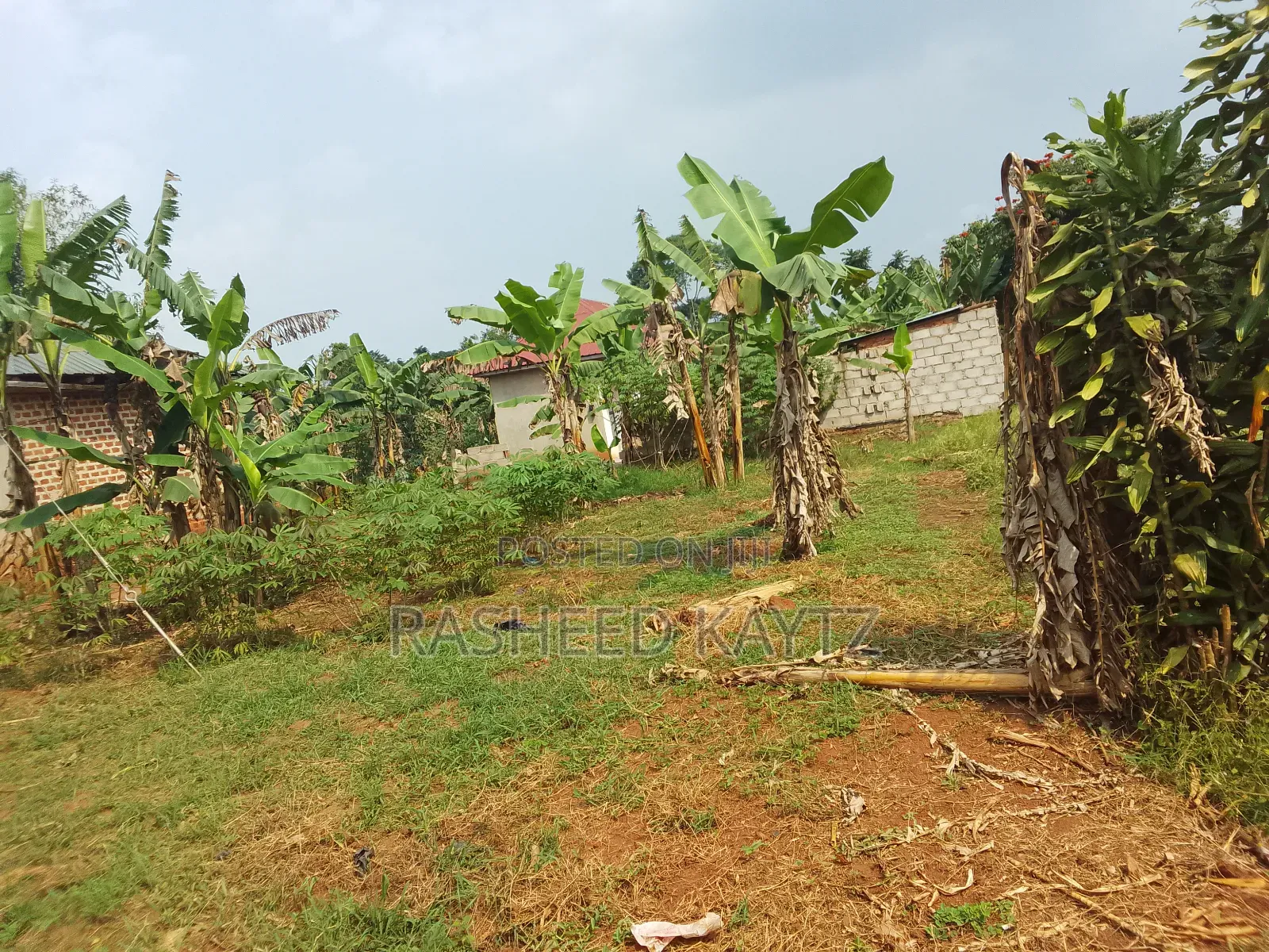 Furnished 1bdrm House in Kwaba, Namasumbi, Kyampisi for sale