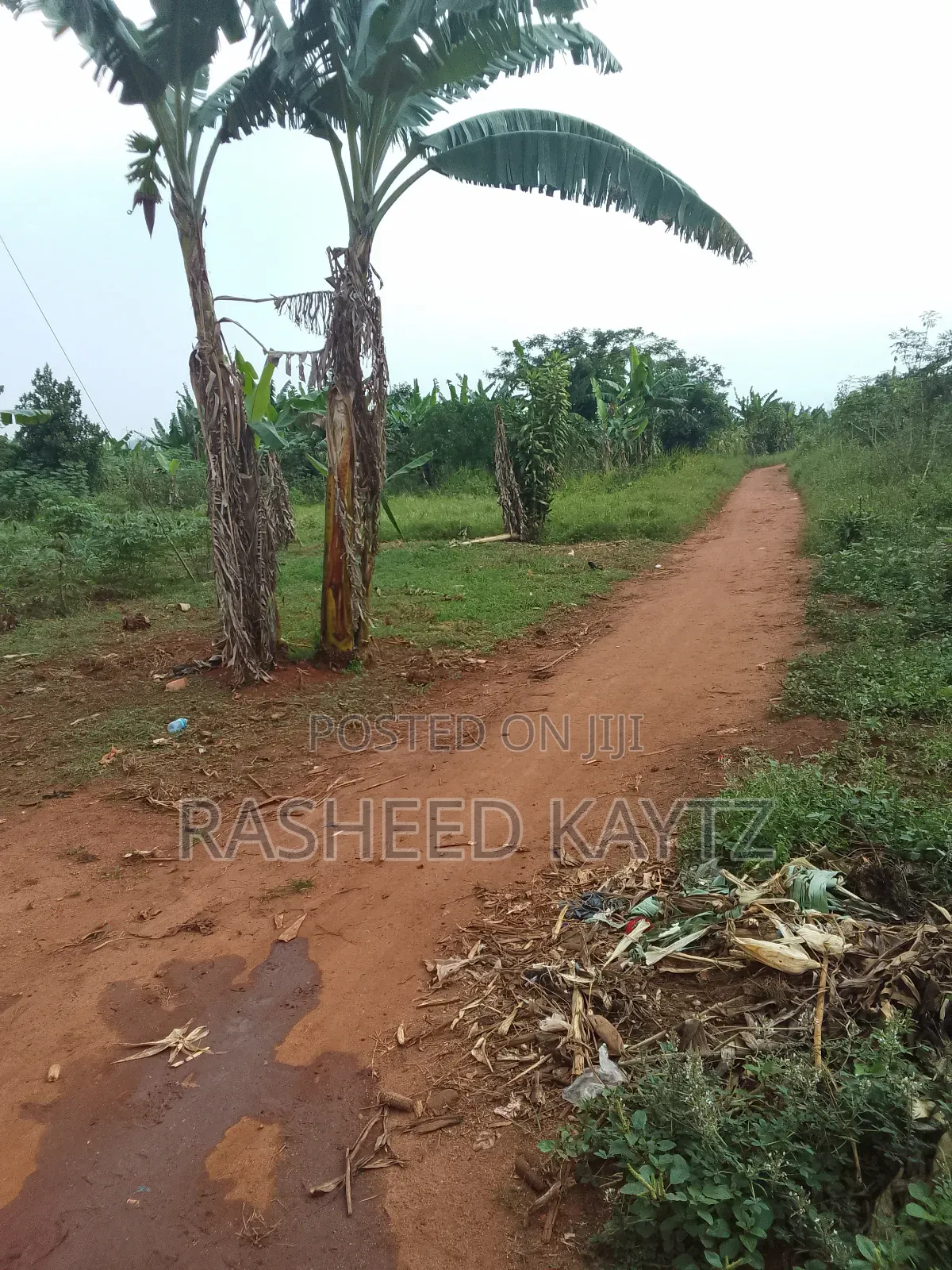 Furnished 1bdrm House in Kwaba, Namasumbi, Kyampisi for sale