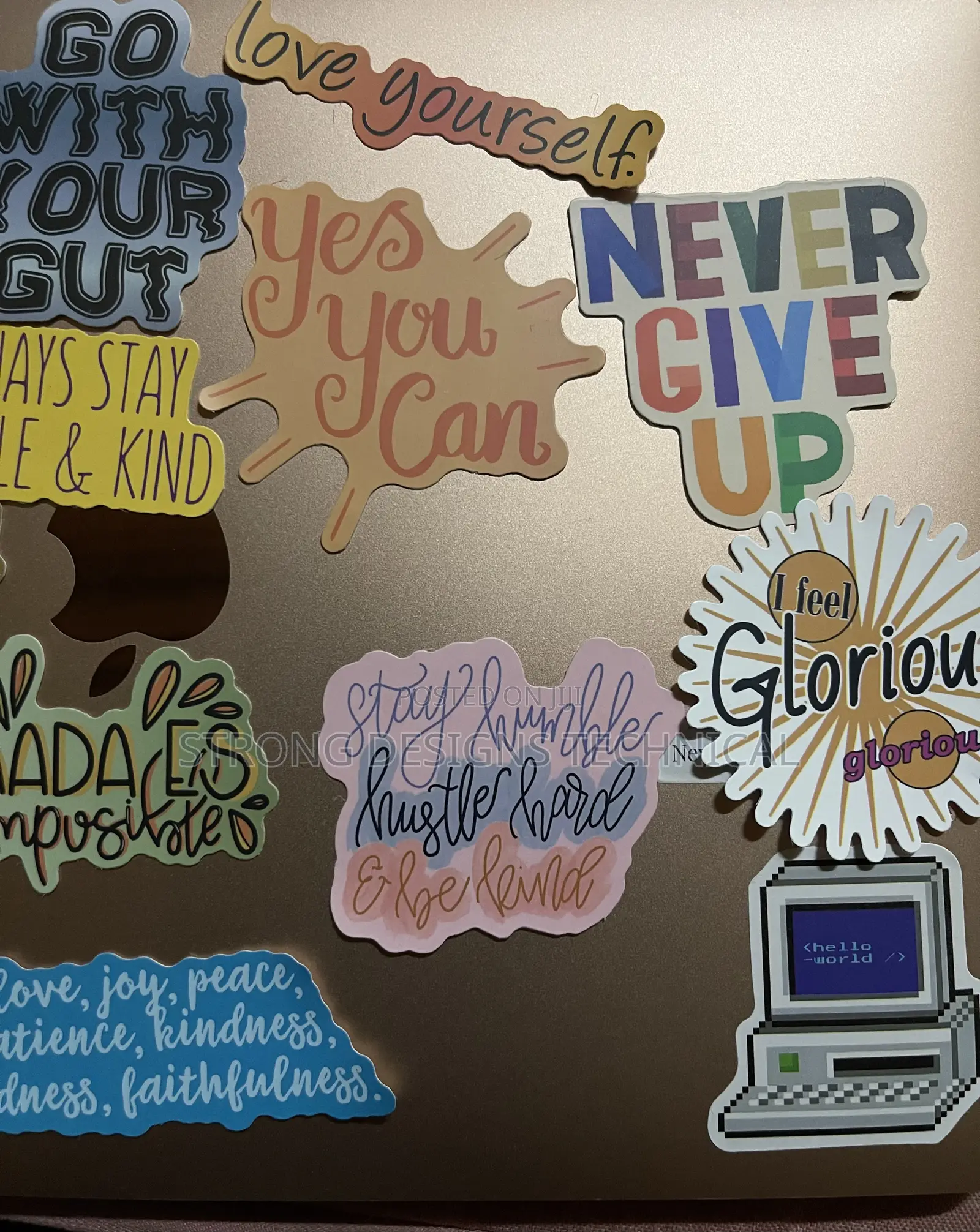 Stickers for Laptops/ Phone Cases/ iPads/ Books/ Cars