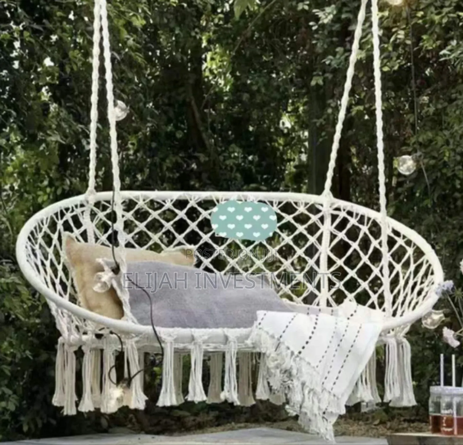 Swing Hanging Chair