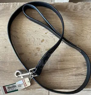 Circle T Leather Dog Leash