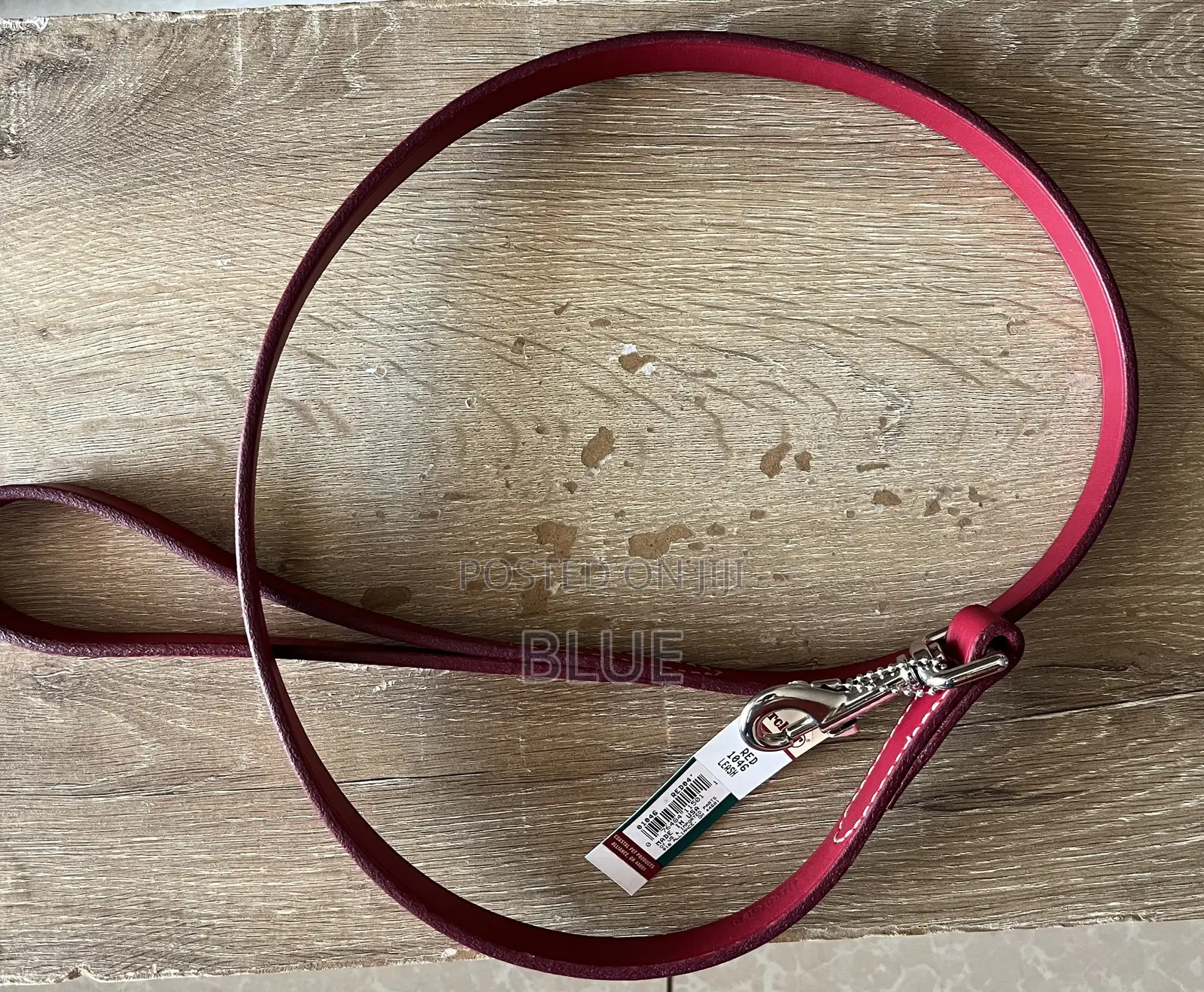 Circle T Leather Dog Leash