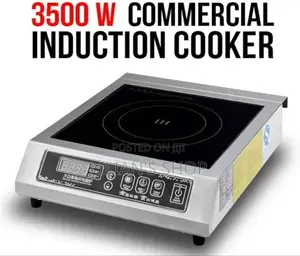 Commercial Induction Cooker