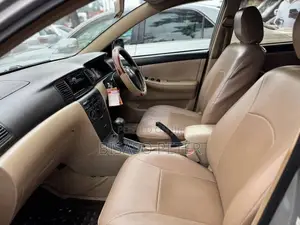 Toyota Allex 2004 Silver