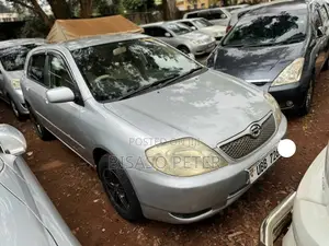 Toyota Allex 2004 Silver
