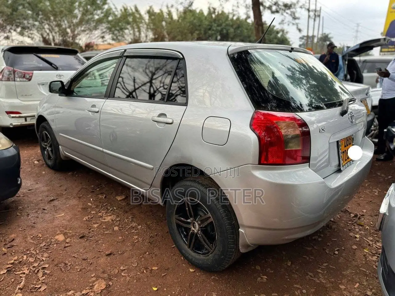 Toyota Allex 2004 Silver