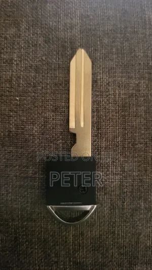Nissan Car Remote New