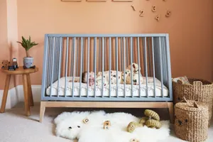 Amazing Baby Crib