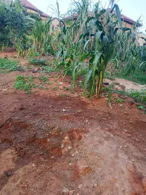 Plot for Sale in Kigo