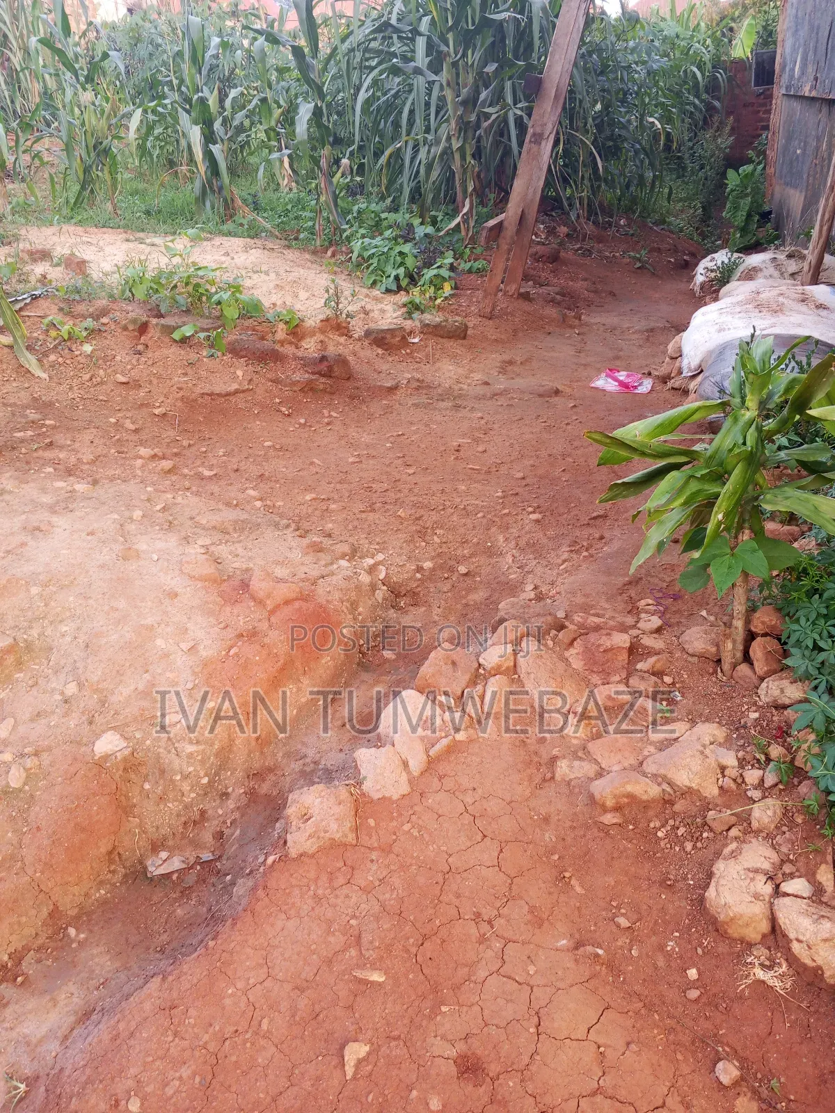 Plot for Sale in Kigo