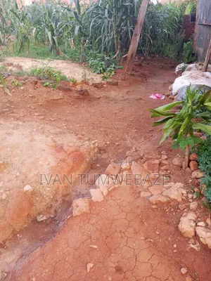 Plot for Sale in Kigo