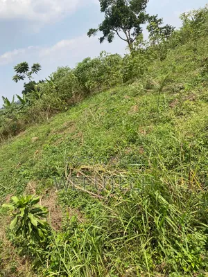 Photo - Gayaza Buwagga,After Ugachic Factory Titled Land
