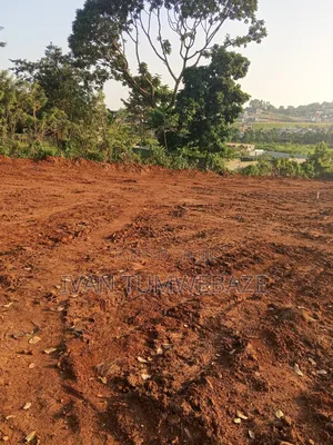 Plots for Sale in Kigo . Munyonyo Express