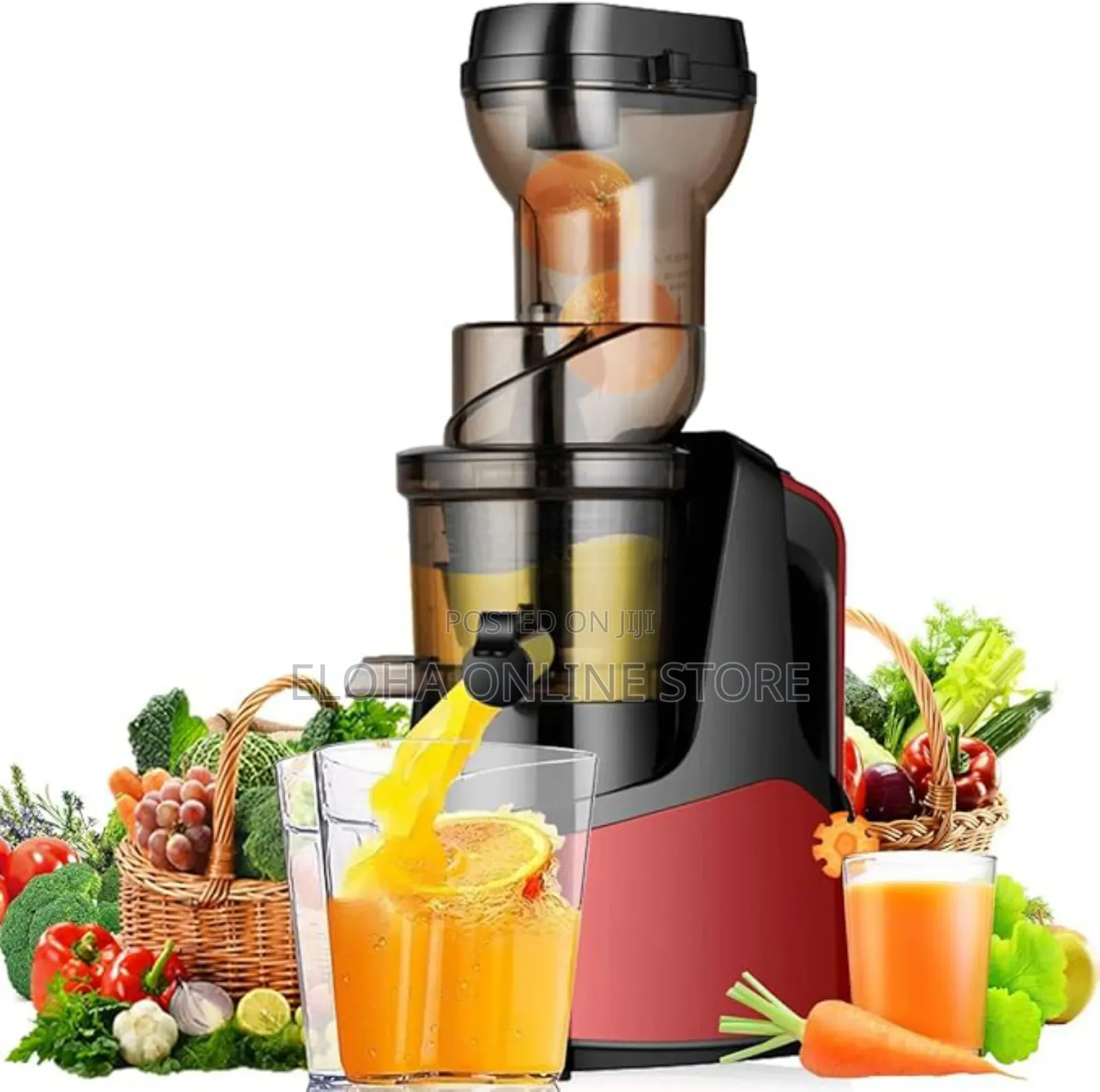 Raf Cold Press Multifunction Juicer