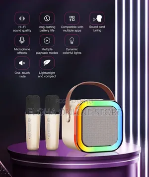 Portable Wireless Karaoke Machine With 6 Voice Effects