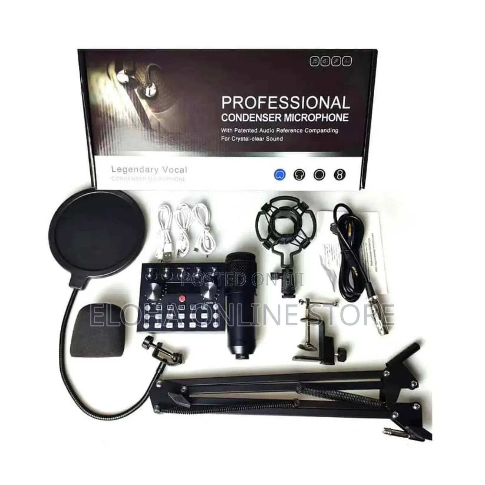 Rofessional Condenser Microphone V10