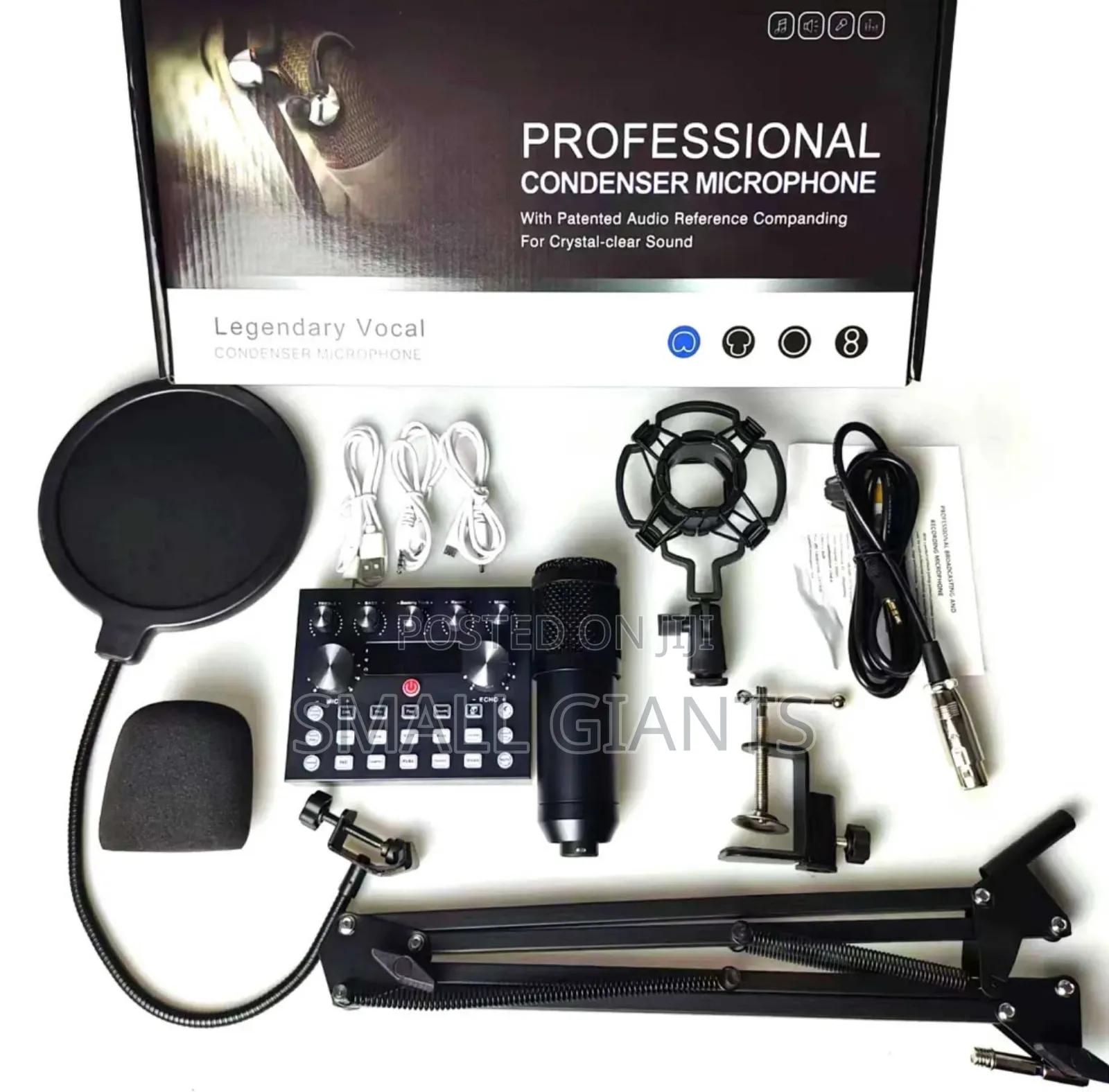 Professional V10 Podcast Condenser Microphone Set