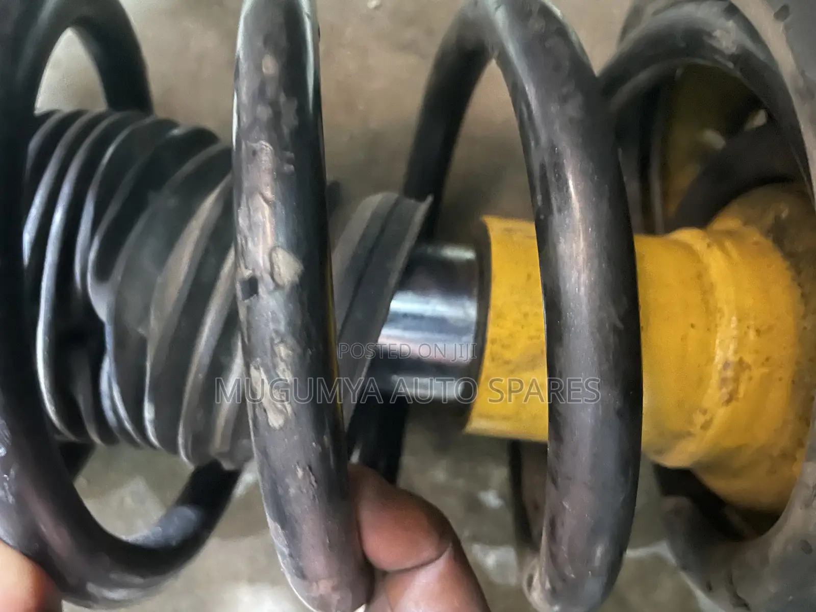 Tiguan Front Sport Shock Absorbers