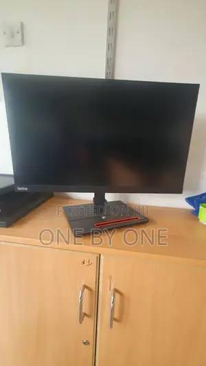 Lenovo Thinkvision Monitor.24inch Ips