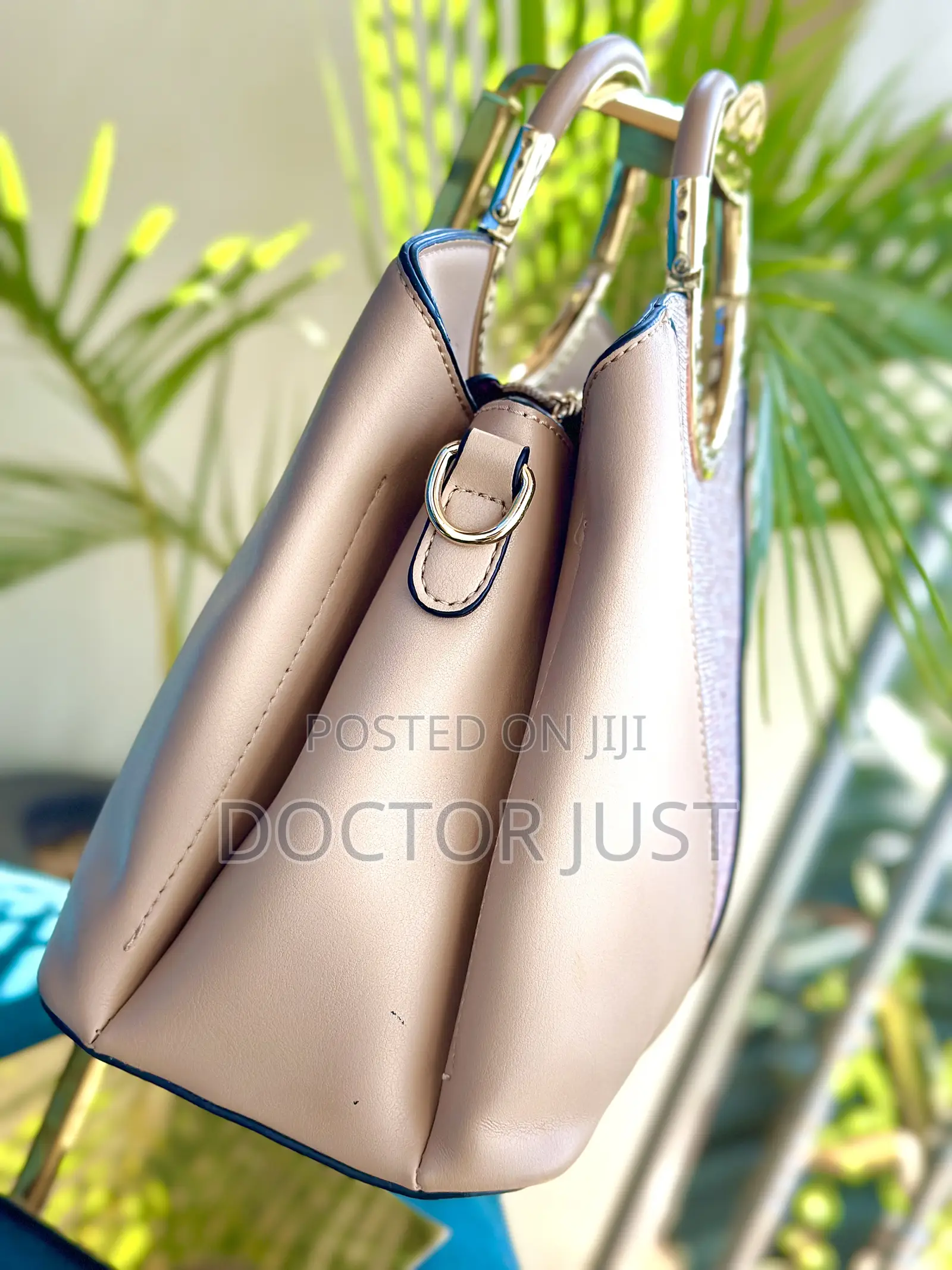 Fancy Handbag