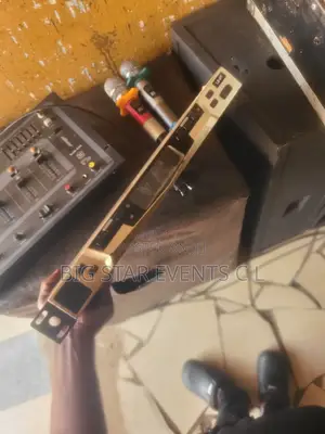 Mic Longest Frequency