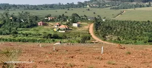 Prime Plots for Sale at Maya Prestigious Estate~Masaka Road.