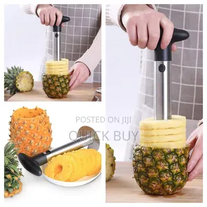 New Stainless Steel Pineapple Core Remover