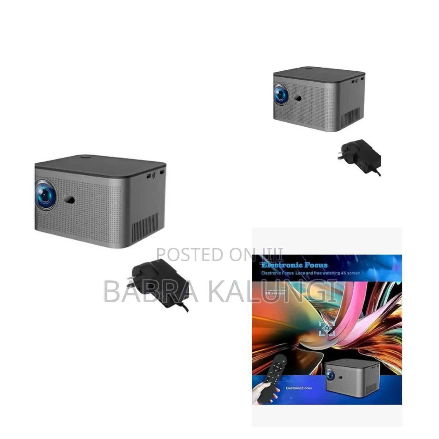 Electric Borrego Projector