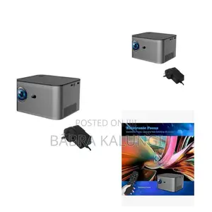 Electric Borrego Projector