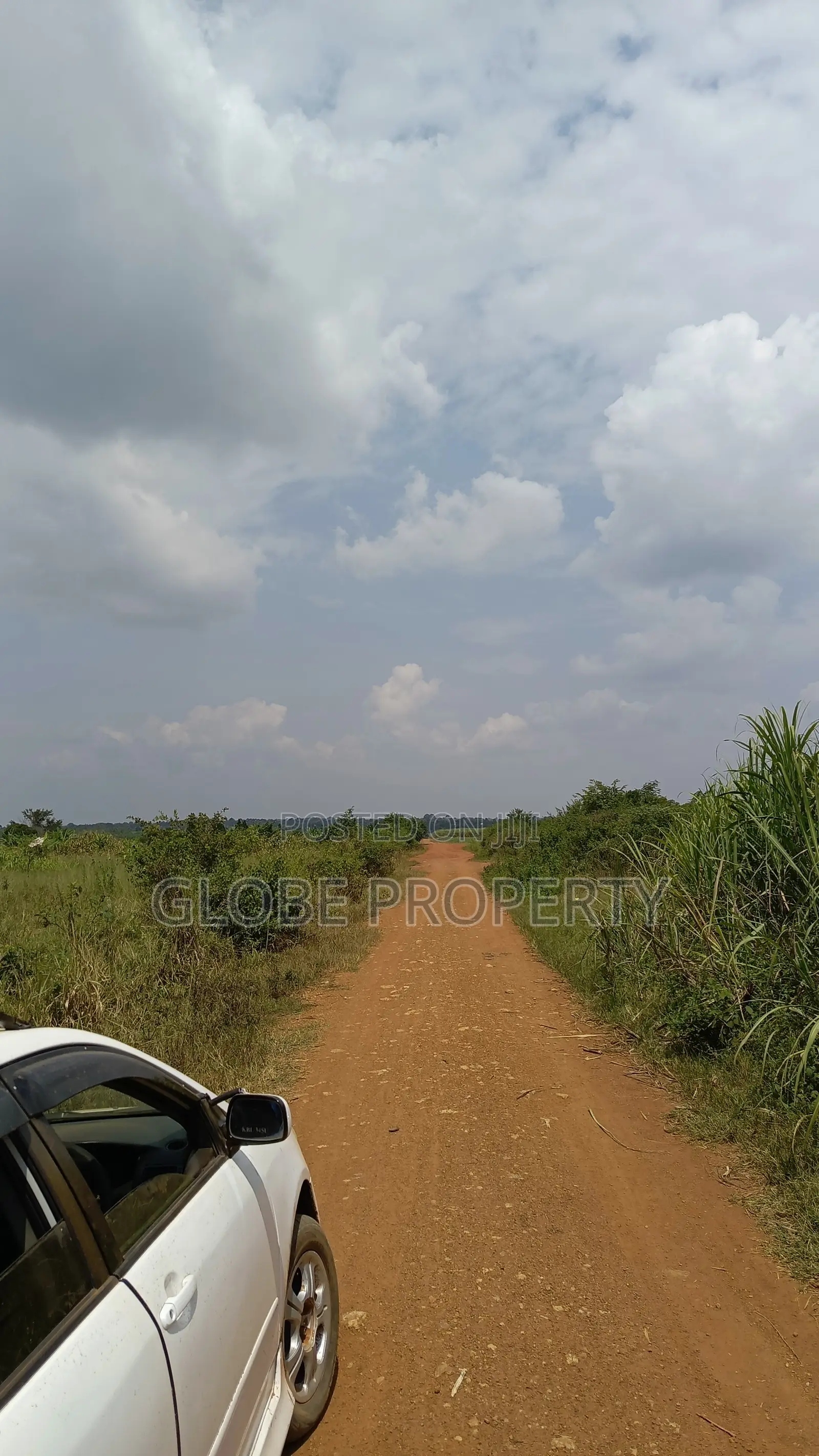 10 Acres of Farmland for Sale in Kayunga at Ugx 10m Per Acre