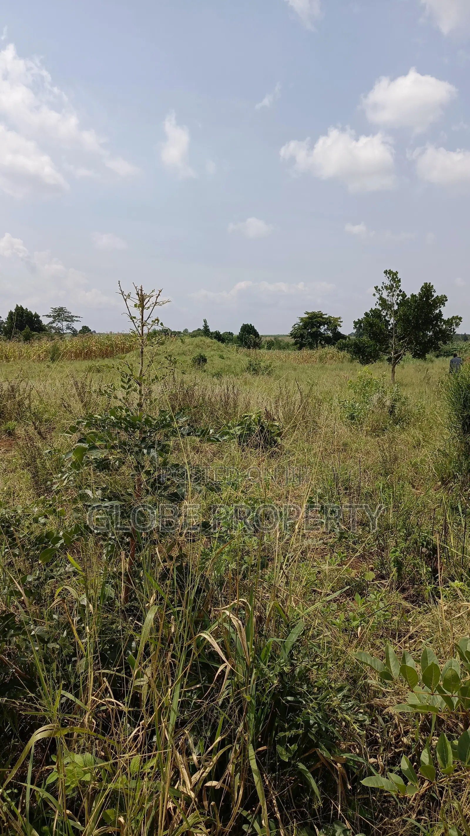 10 Acres of Farmland for Sale in Kayunga at Ugx 10m Per Acre