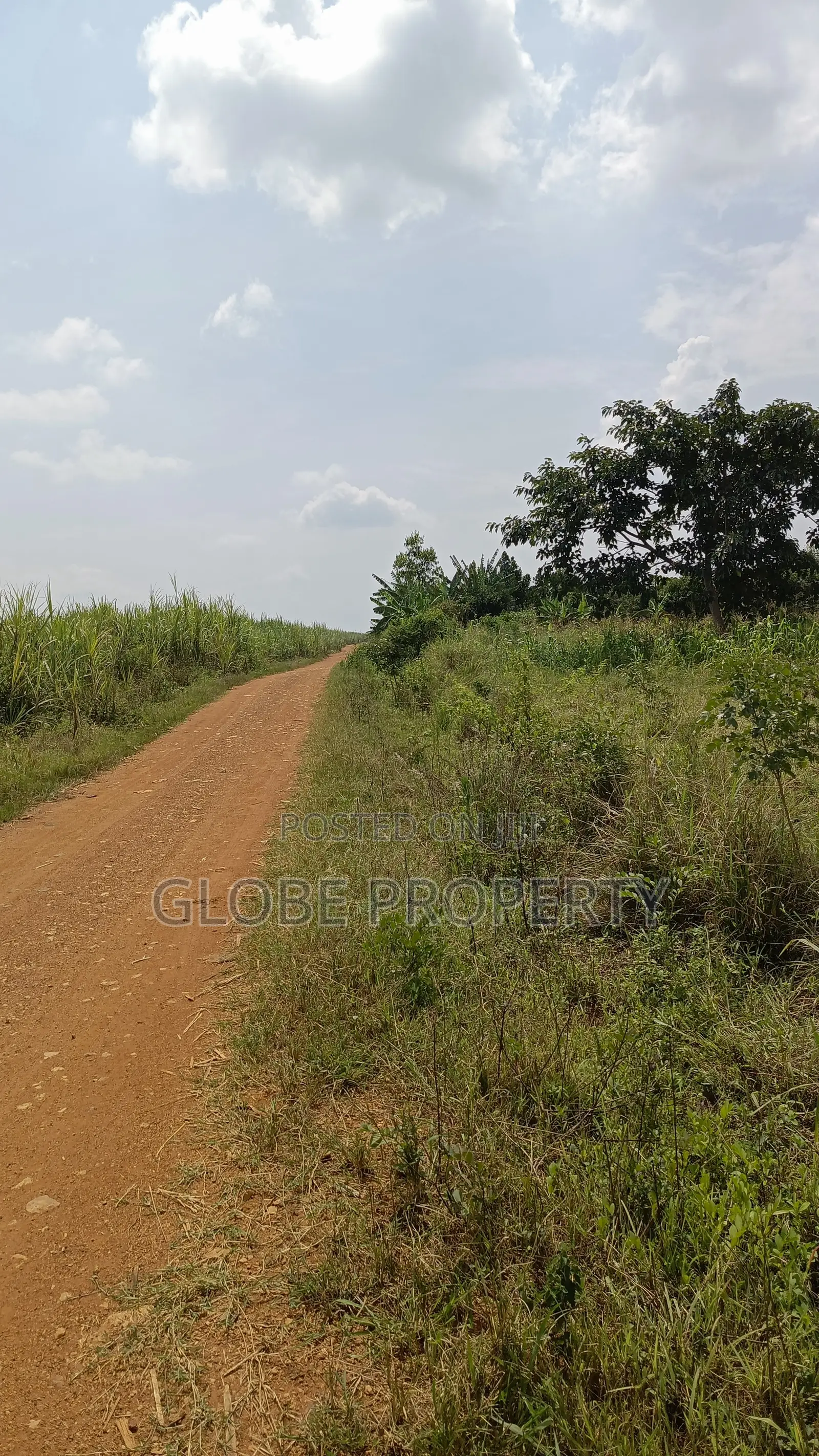 Farm Land for Sale, 5 Acres