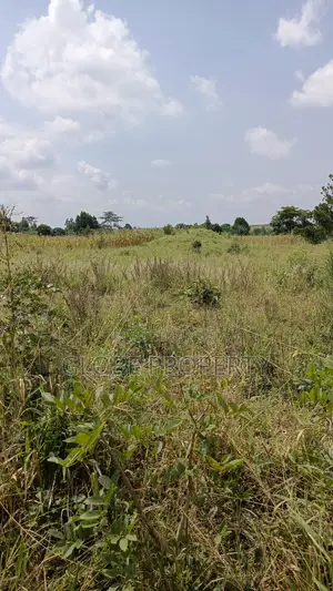 Farm Land for Sale, 5 Acres