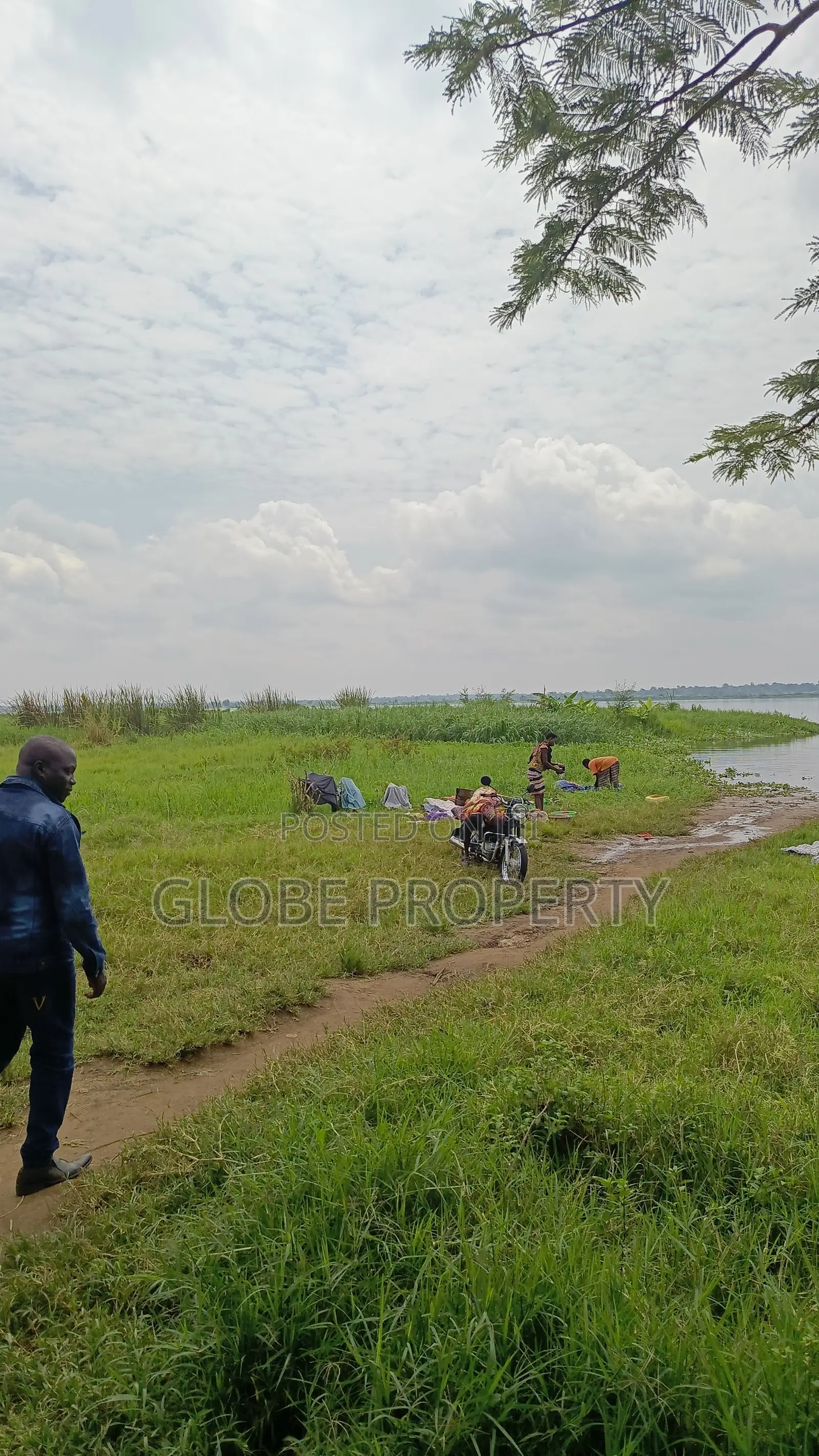 Farm Land for Sale