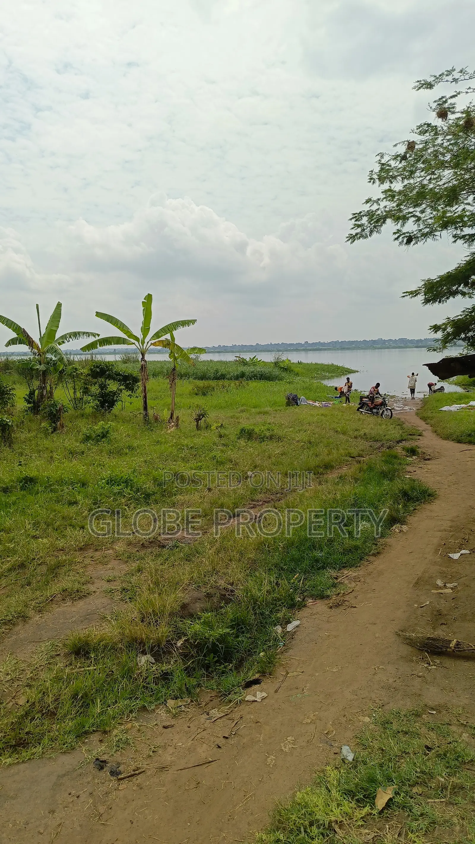 Farm Land for Sale