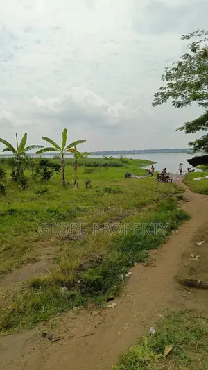 Farm Land for Sale