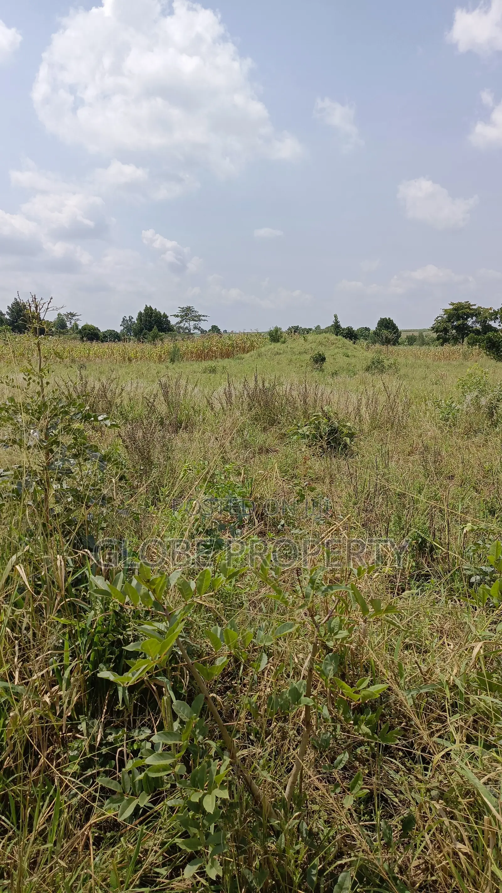 Farm Land for Sale, 10 Acres